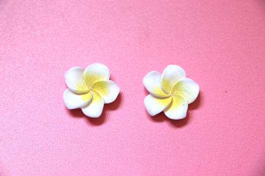 Frangipani