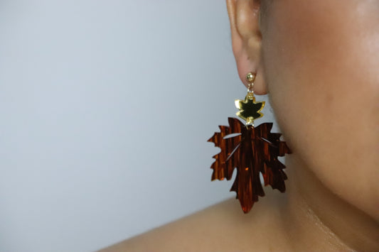Mahogany Maple