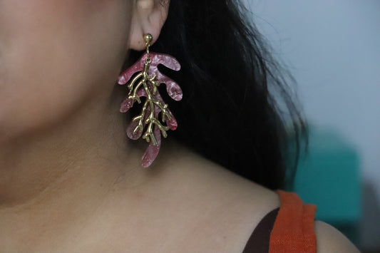 Deep Coral