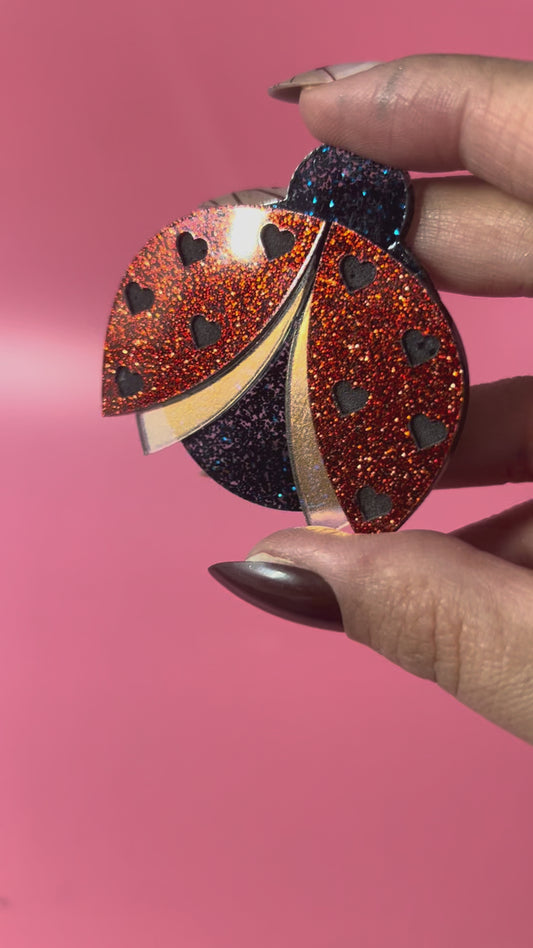 Broche Lady Bug